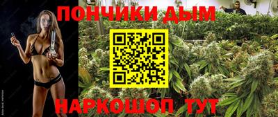 каннабис Кандалакша