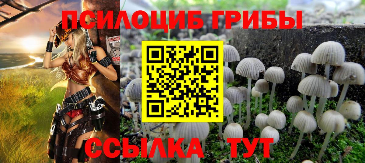 Псилоцибиновые грибы ЛСД Кудымкар